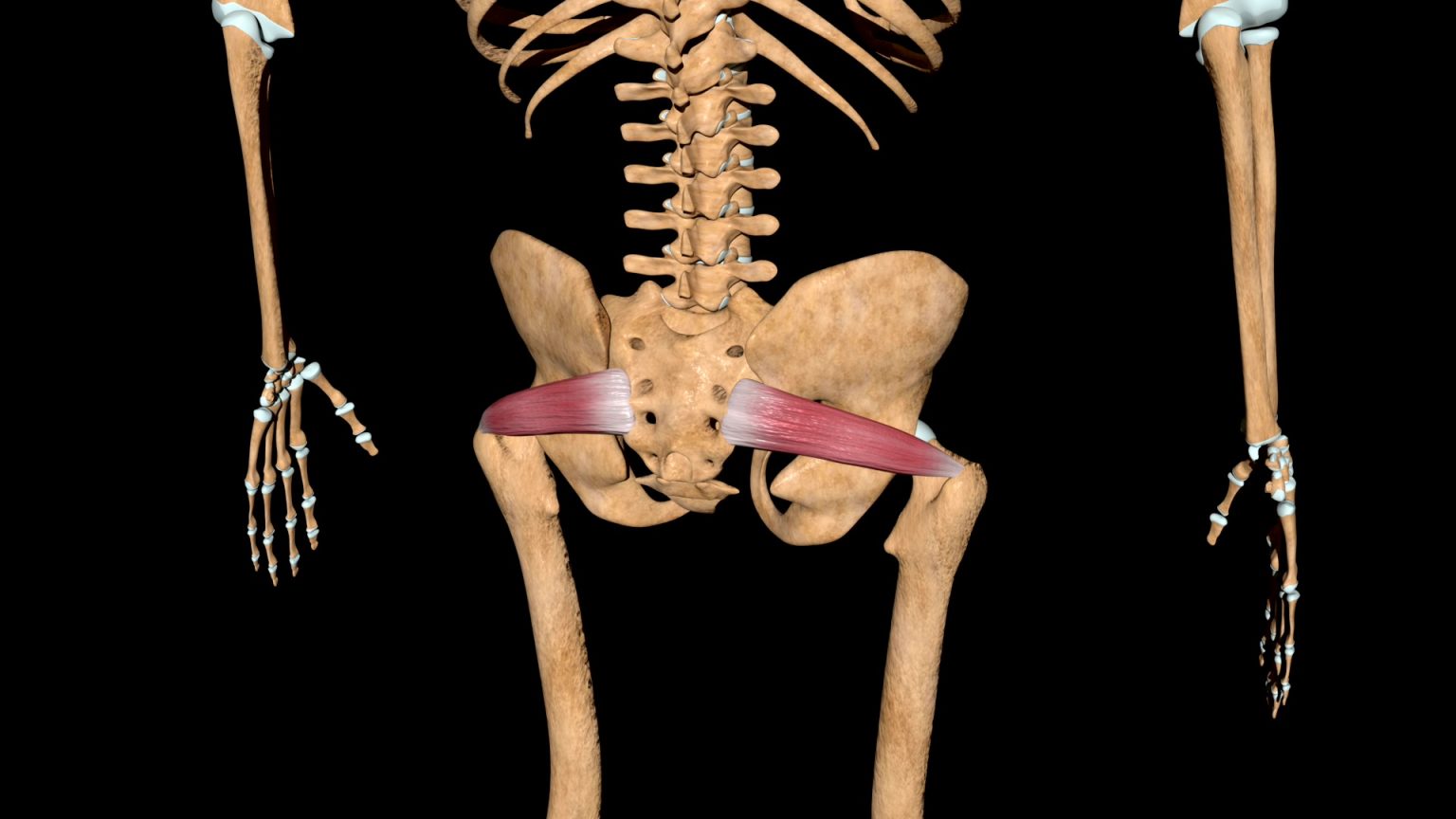 piriformis-syndrome-path-to-wellness-integrated-health-fort-worth-tx