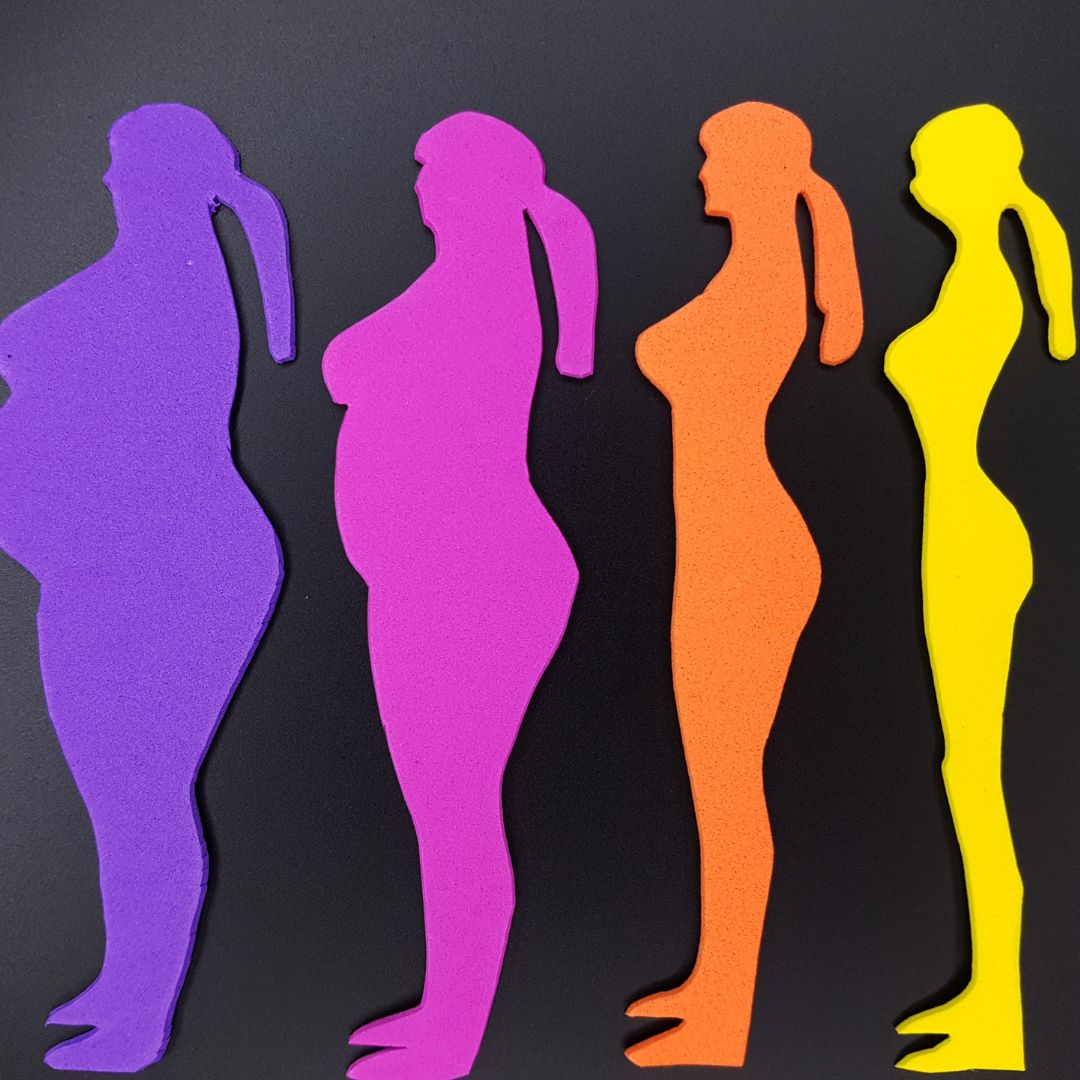 silhouette of women of different sizes 
